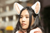 cat-ears